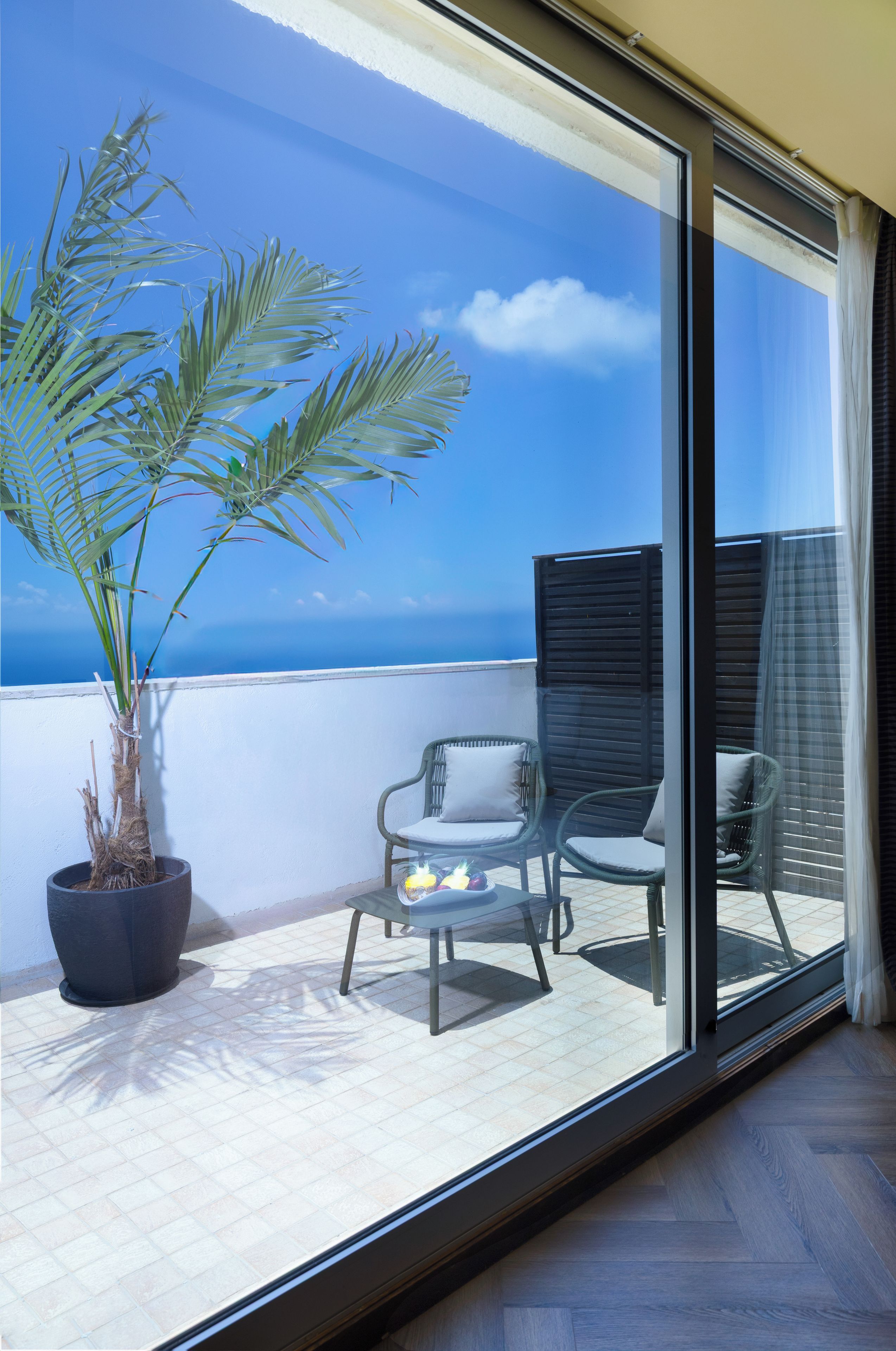 A balcony with a potted plant, two chairs, and a view of the sea.