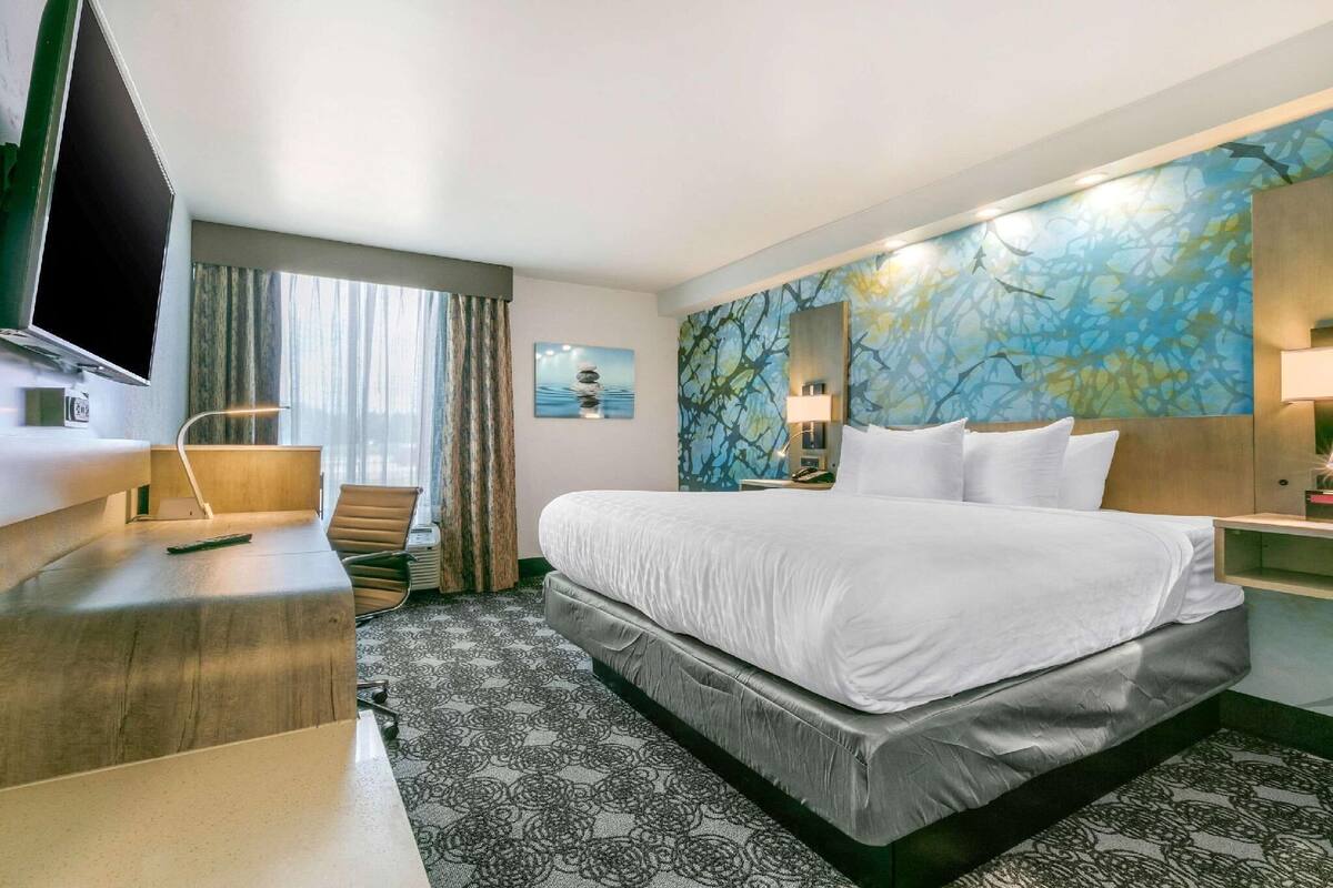 Une chambre d’hôtel comprenant un lit, un bureau, une télévision, une chaise, une fenêtre avec des rideaux et un mur orné d’un motif floral.