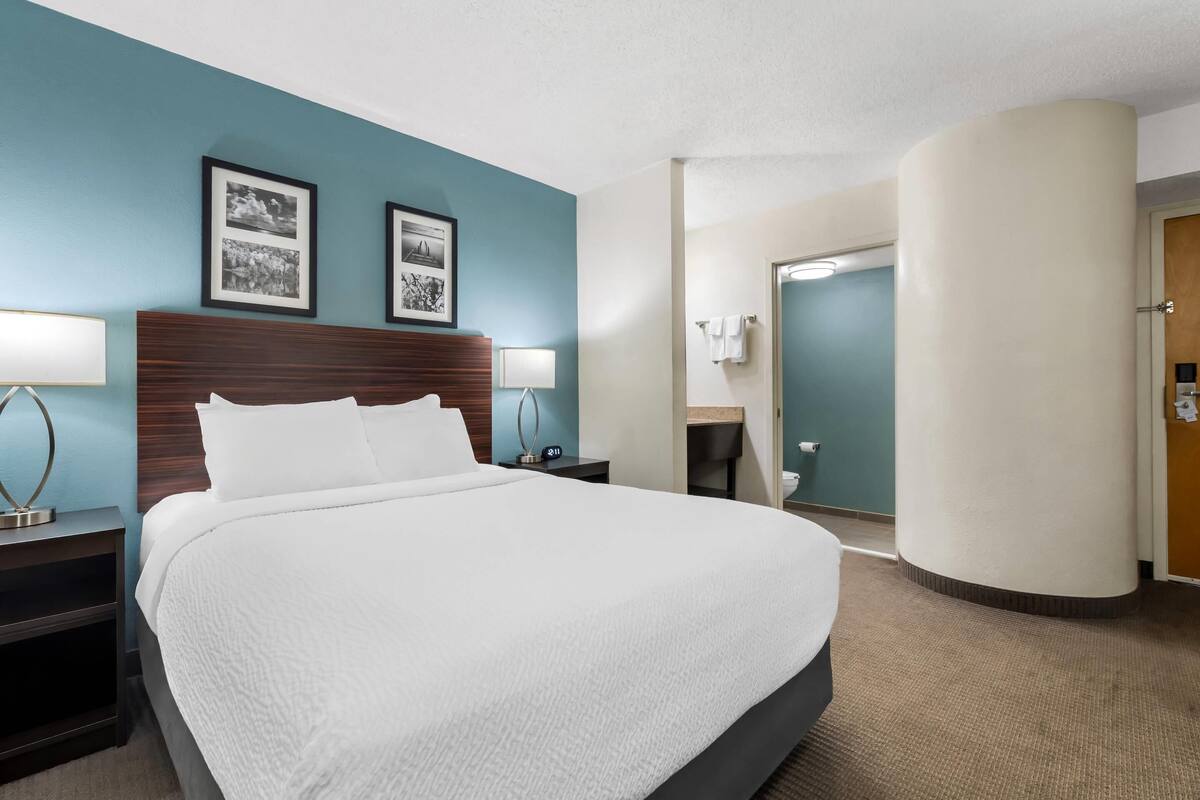 Standard Room, 1 Queen Bed, Non Smoking | Desk, iron/ironing board (on request), WiFi (free), bed sheets