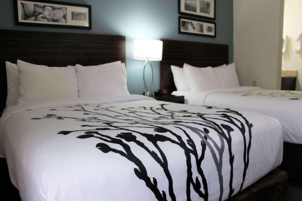 A hotel room with two beds, a nightstand, a lamp, and framed pictures on the wall.