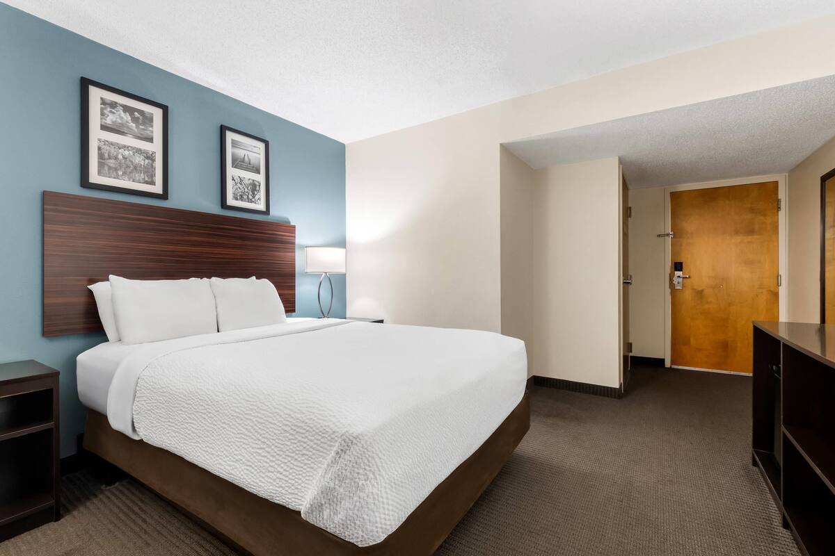 Room, 1 Queen Bed, Accessible, Non Smoking | Desk, iron/ironing board (on request), WiFi (free), bed sheets