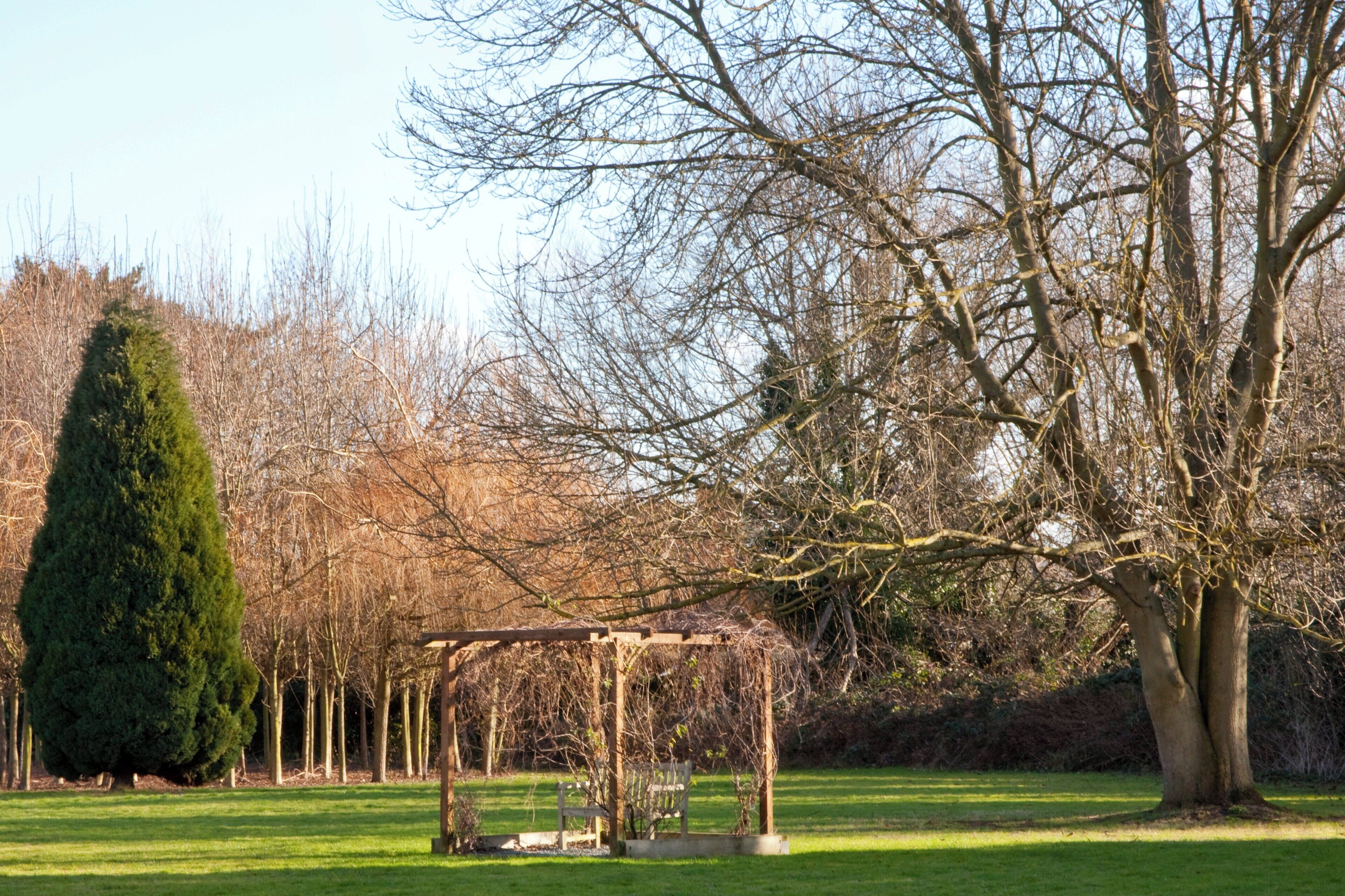 Foto - Holiday Inn London-Shepperton by IHG