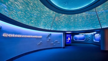 An aquarium with a large circular viewing area, fish swimming above, and educational displays on the walls.