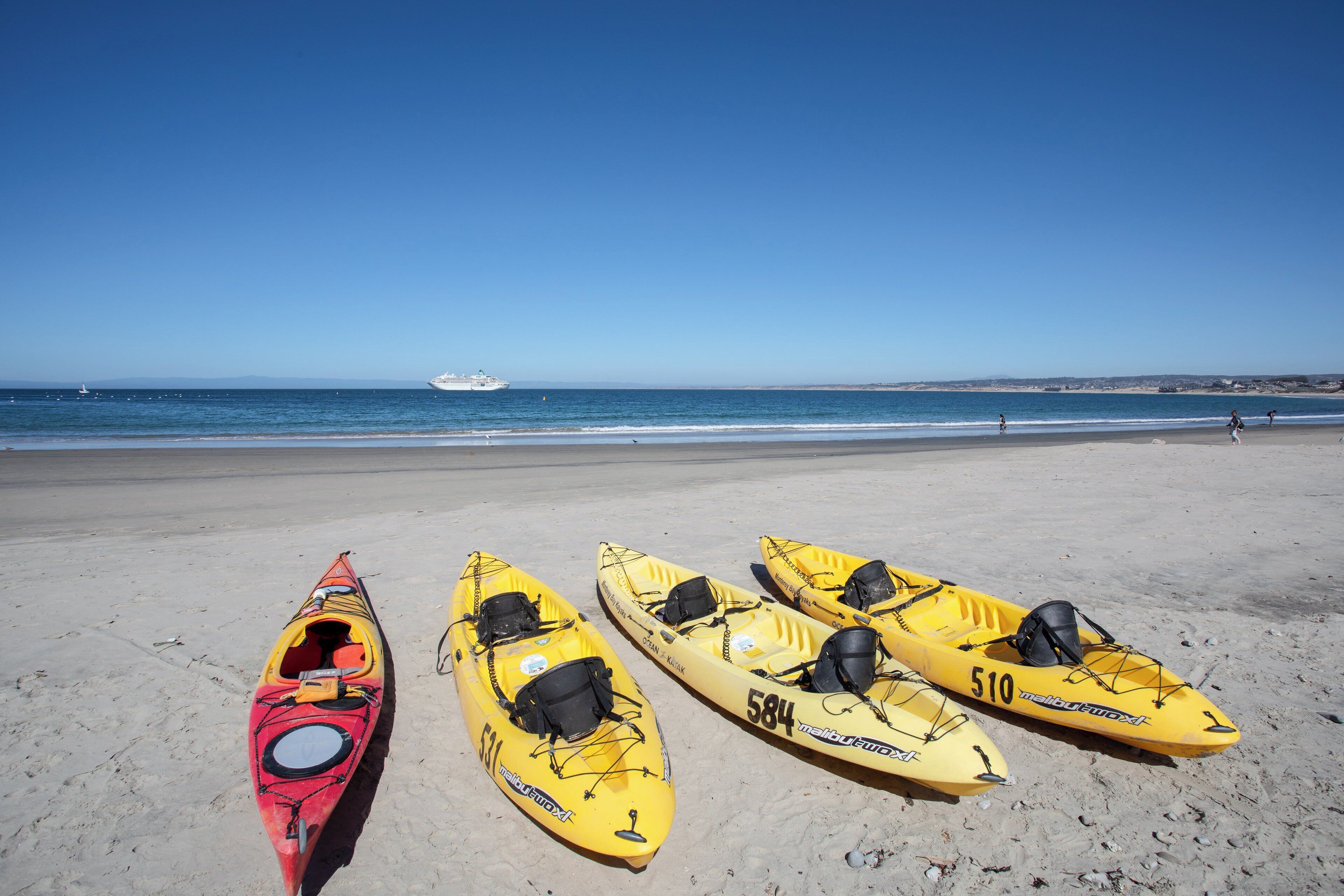 A beach with kayaks lined up and a cruise ship in the distance.