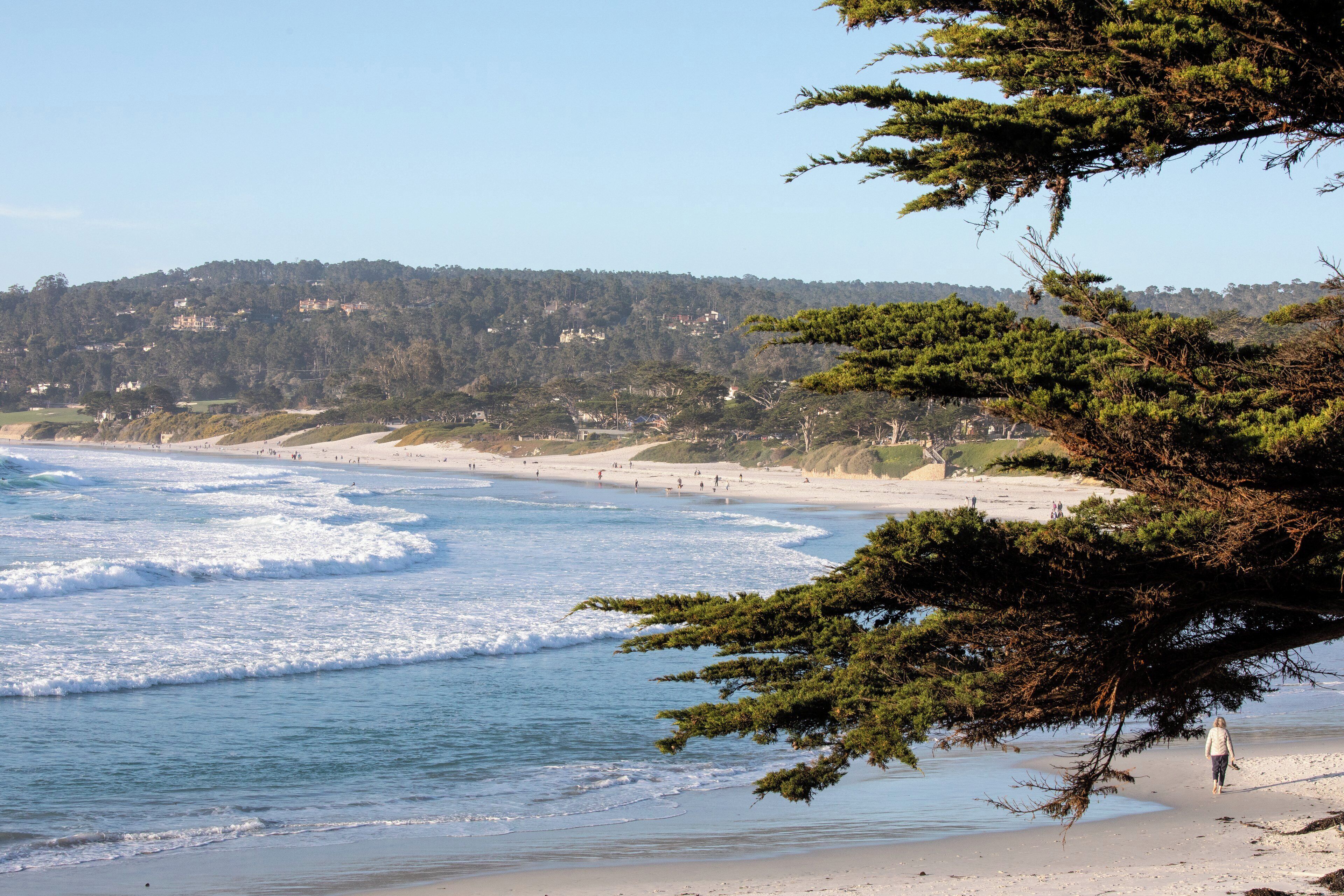 A beach with waves, a person walking, and a forested hillside in the background.