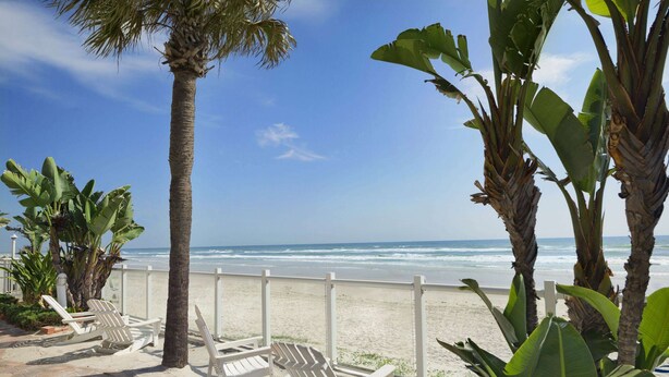 Een strandlounge met witte stoelen en een palmboom, met uitzicht op de oceaan.