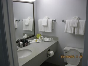 Combined shower/tub, free toiletries, hair dryer, towels