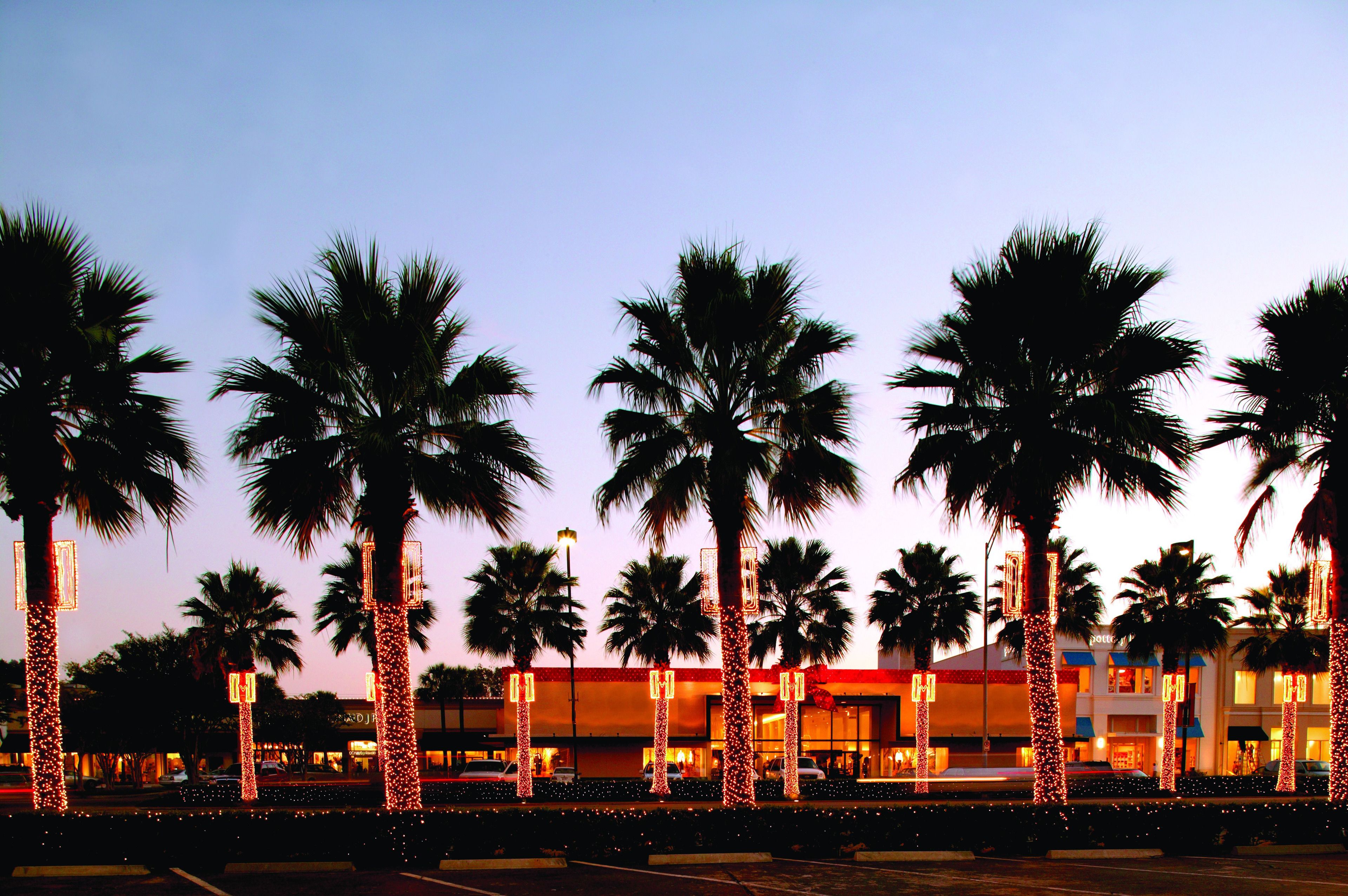 A row of palm trees with lights, a building with a red roof, and a clear sky.