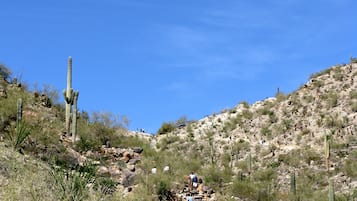 Ein felsiger Hang mit kargen Pflanzen und blauem Himmel.