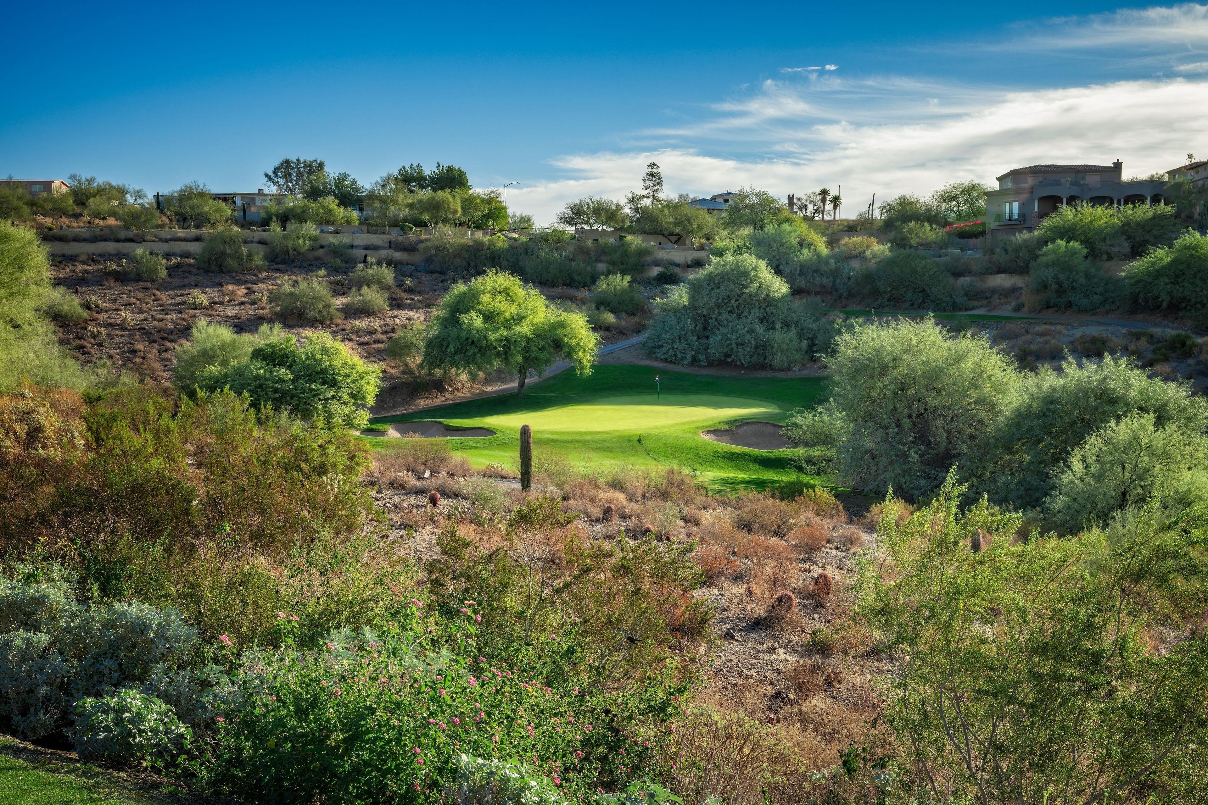 Ein Golfplatz mit gepflegtem Grün, umgeben von dichtem Strauchwerk und Bäumen.