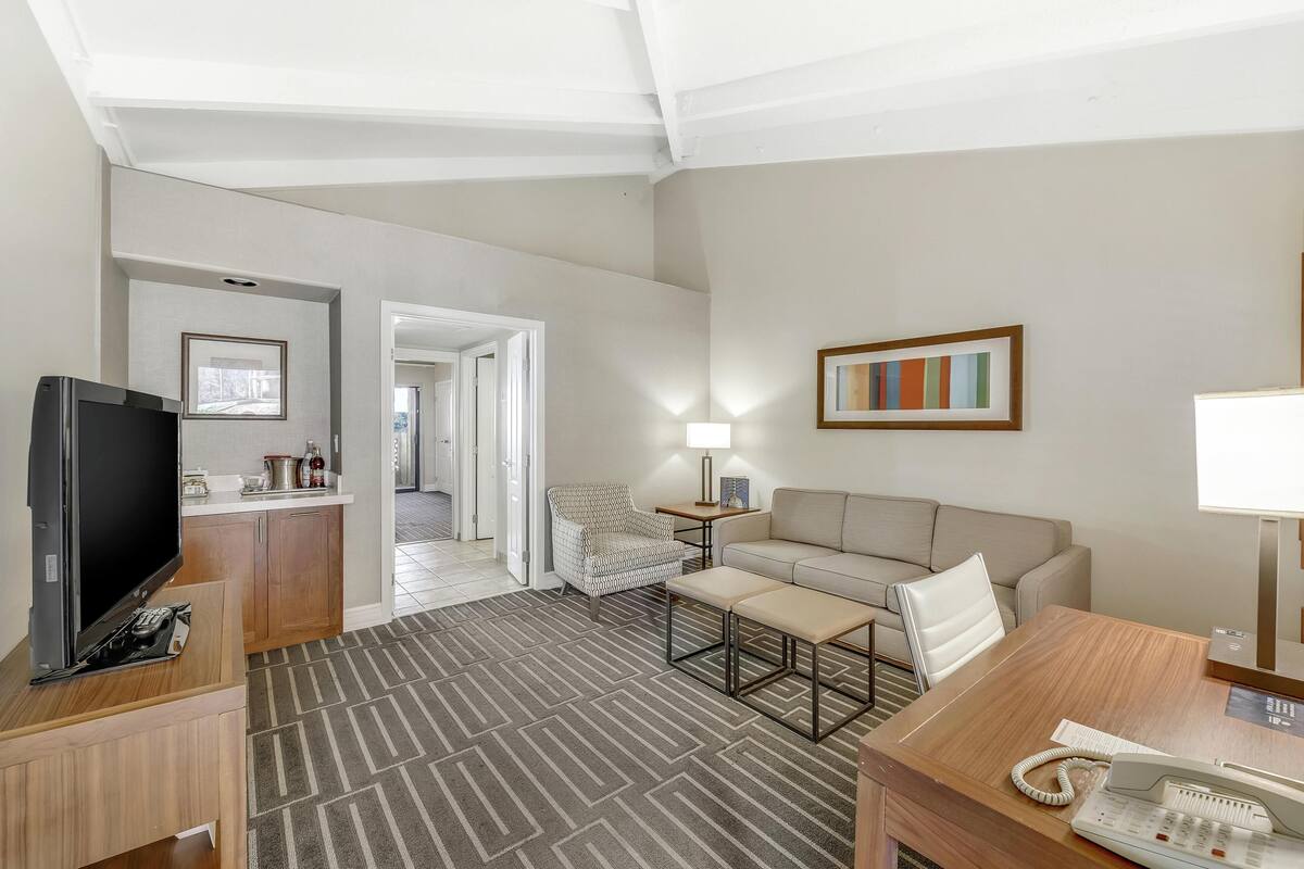 Habitación de hotel con televisión, escritorio, sofá, silla, lámpara y un cuadro.
