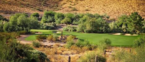 A golf course with a desert landscape, including cacti and sparse vegetation.