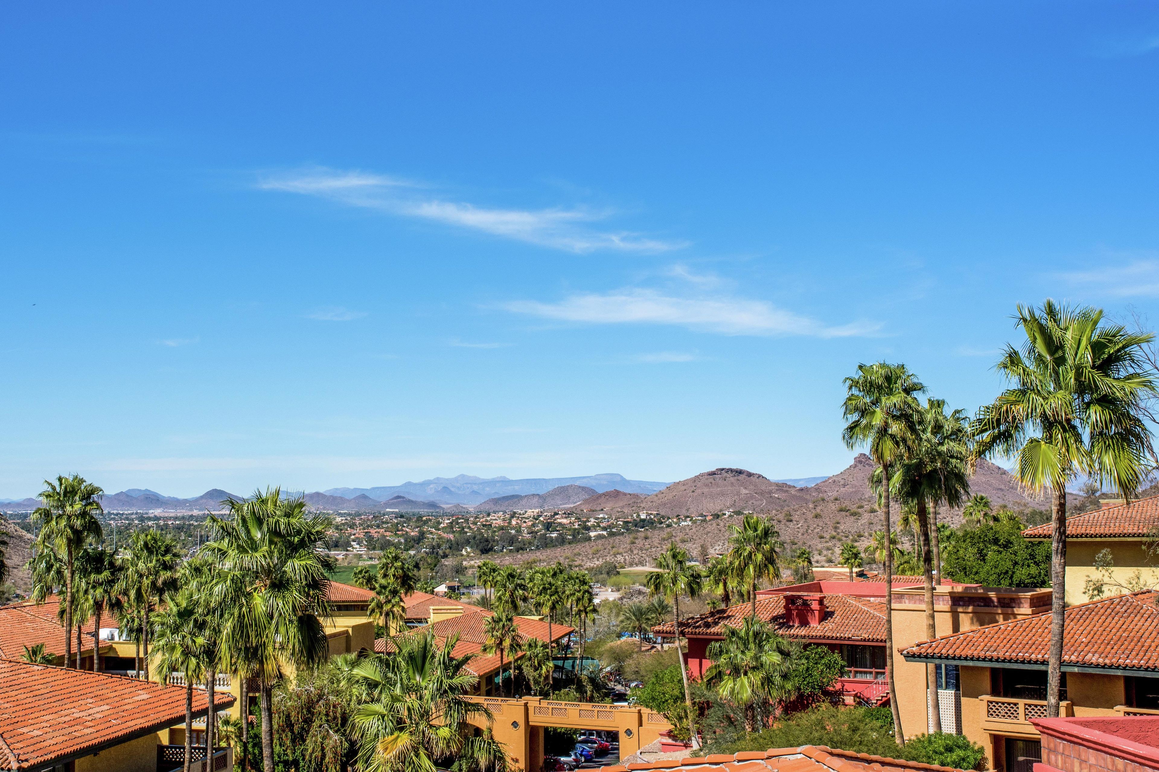A residential area with houses, palm trees, and mountains in the background.