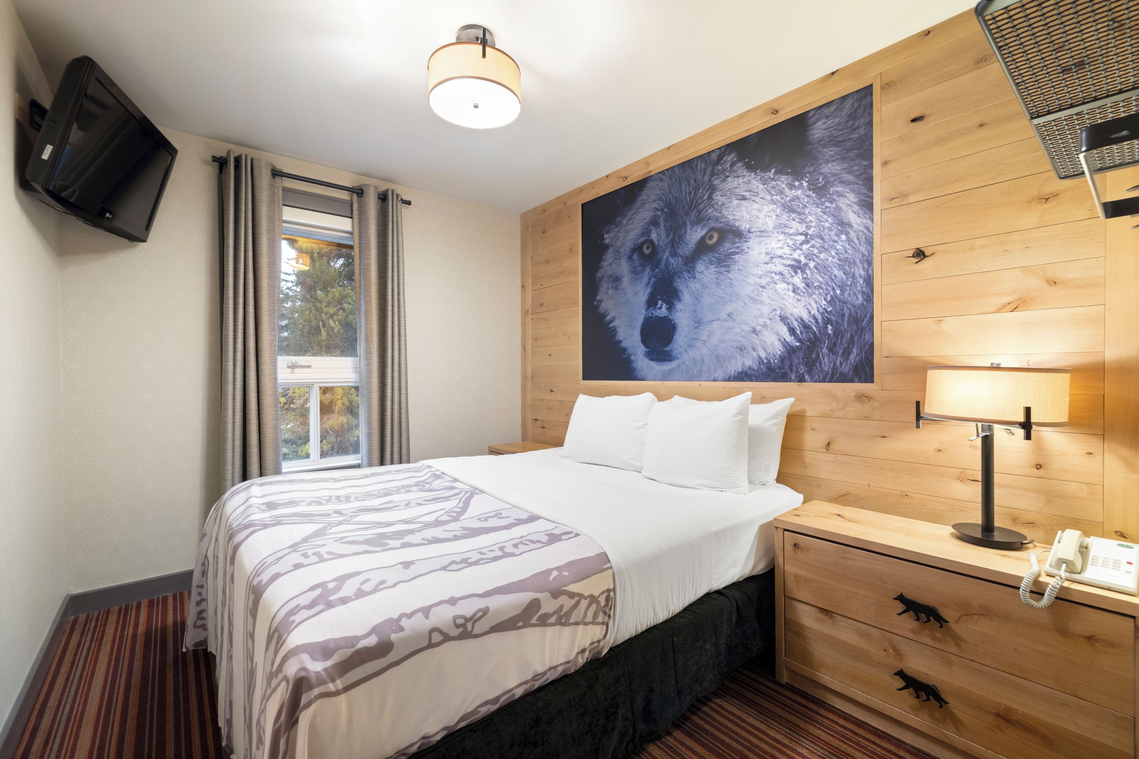 Habitación de hotel con cama, mesita de noche con lámpara, televisor montado en la pared y un cuadro grande de un lobo.