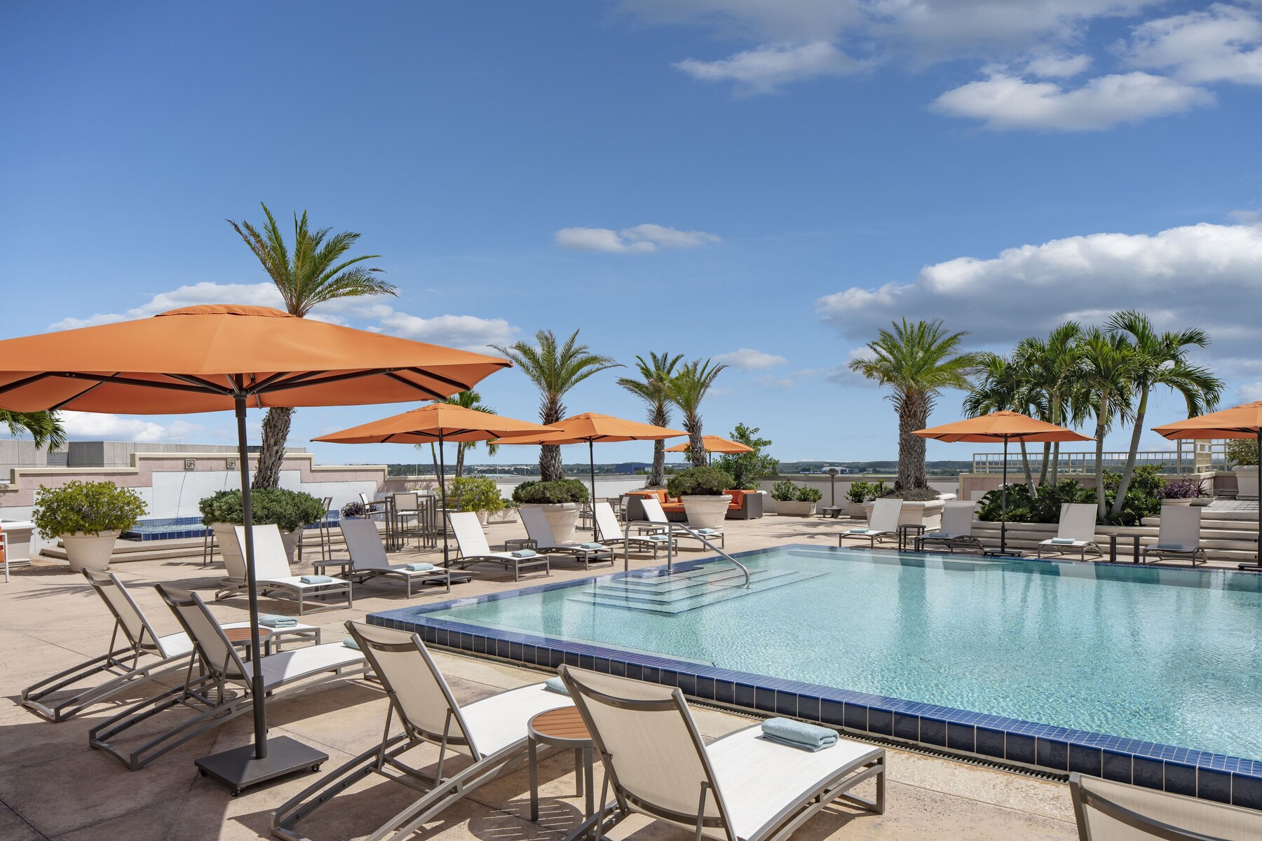 Outdoor pool, sun loungers