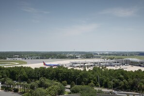 Vista des de l'allotjament