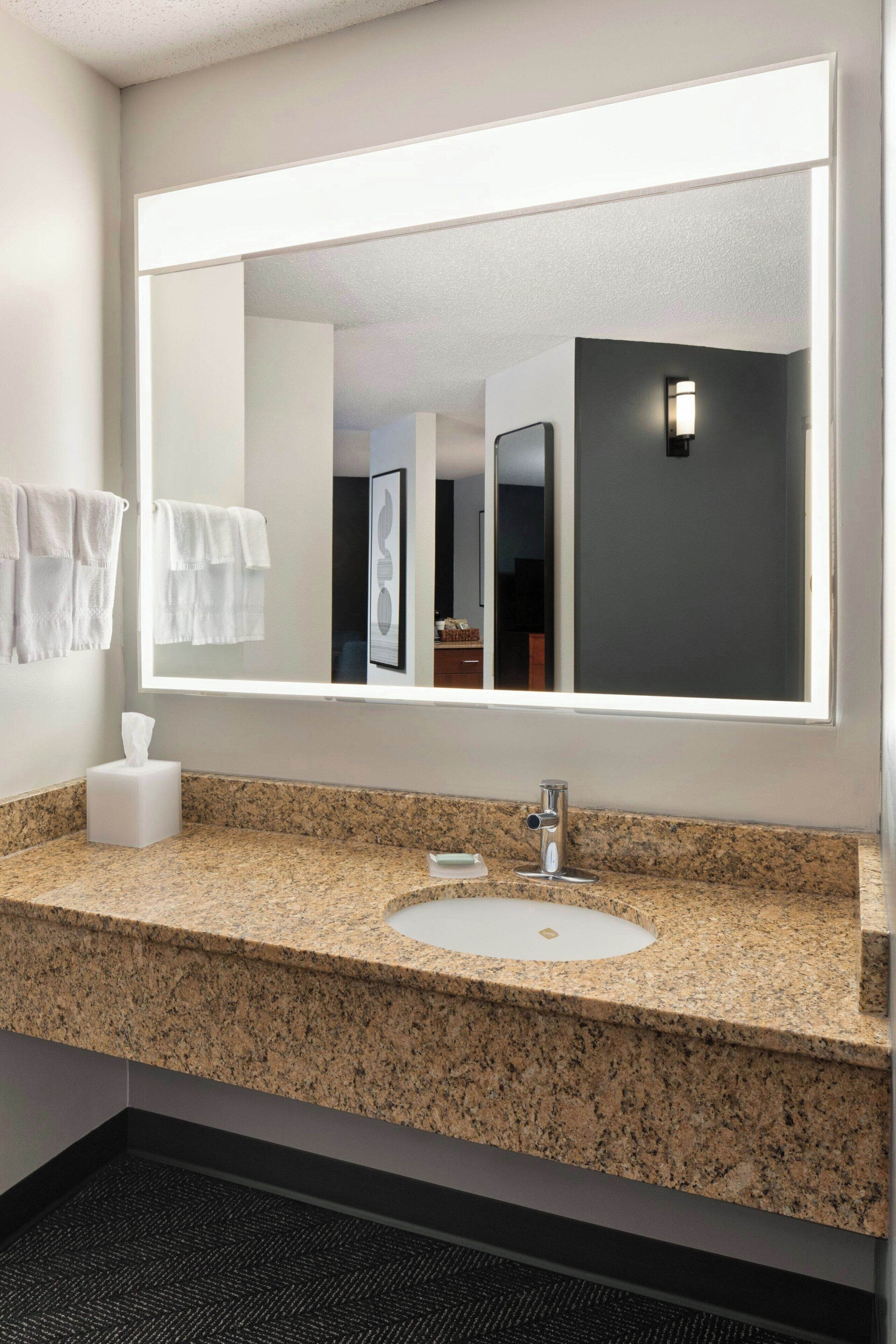 suite, 1 king bed with sofa bed, non smoking, river view | hypo-allergenic bedding, in-room safe, desk, laptop workspace