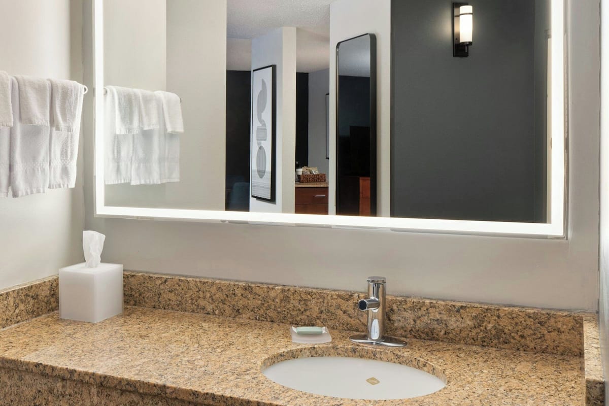 suite, 1 king bed with sofa bed, non smoking, river view | hypo-allergenic bedding, in-room safe, desk, laptop workspace