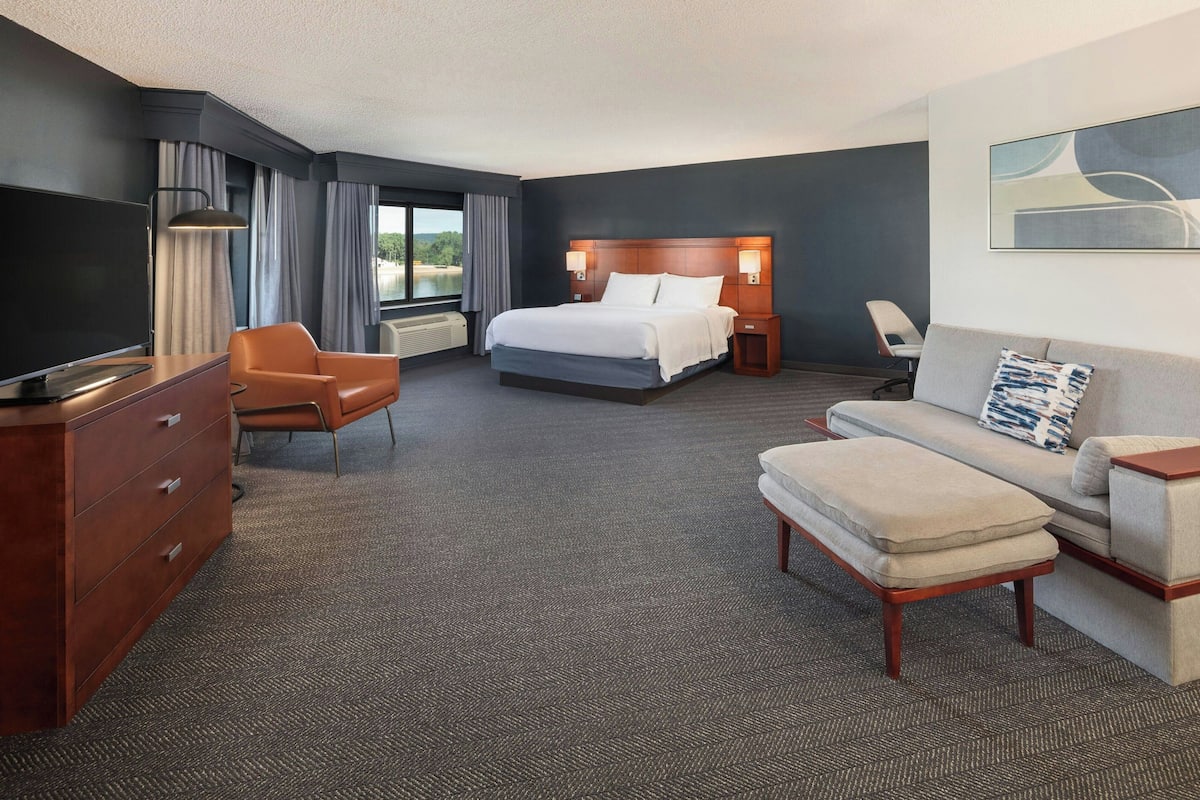 suite, 1 king bed with sofa bed, non smoking, river view | hypo-allergenic bedding, in-room safe, desk, laptop workspace