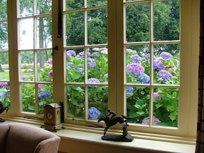 Interior detail