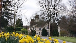 A residential area with a white house, surrounded by trees and a field of yellow flowers. - Esseborne Manor Hotel (Andover)