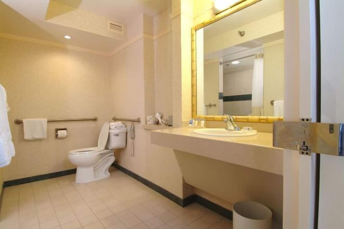 Baño | Amenidades de baño de diseñador, secadora de cabello, toallas, jabón