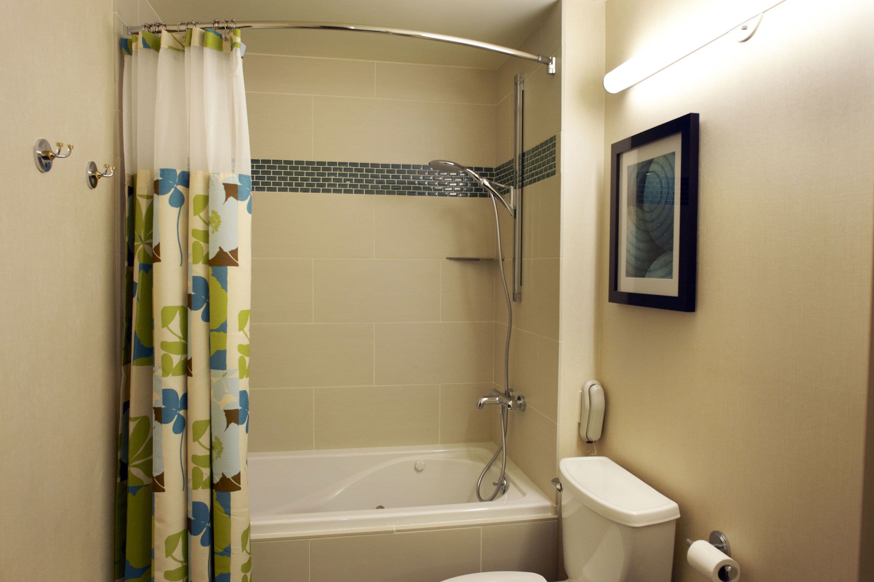 A bathroom with a shower, toilet, and a framed picture on the wall.