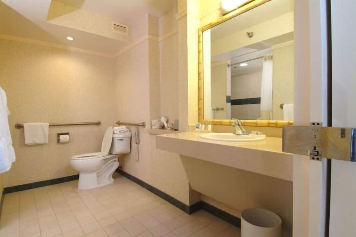 Baño | Amenidades de baño de diseñador, secadora de cabello, toallas, jabón