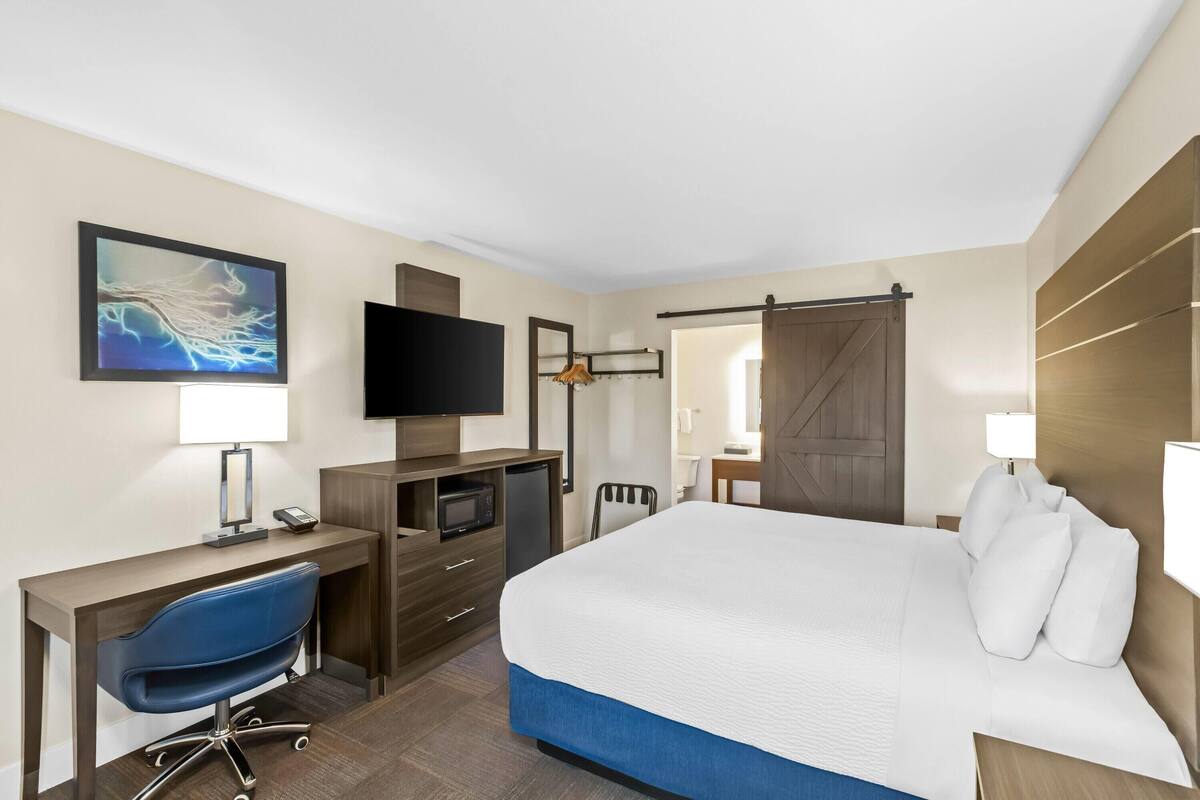A hotel room with a bed, desk, chair, TV, and a painting on the wall.