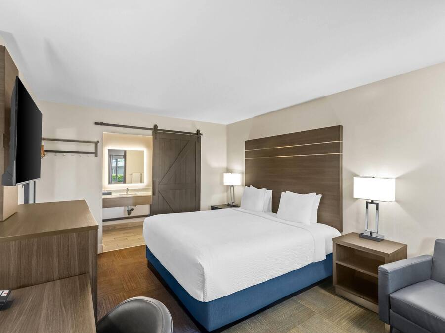 A hotel room with a large bed, a desk with a computer, a TV, a sliding door, and a nightstand with a lamp.