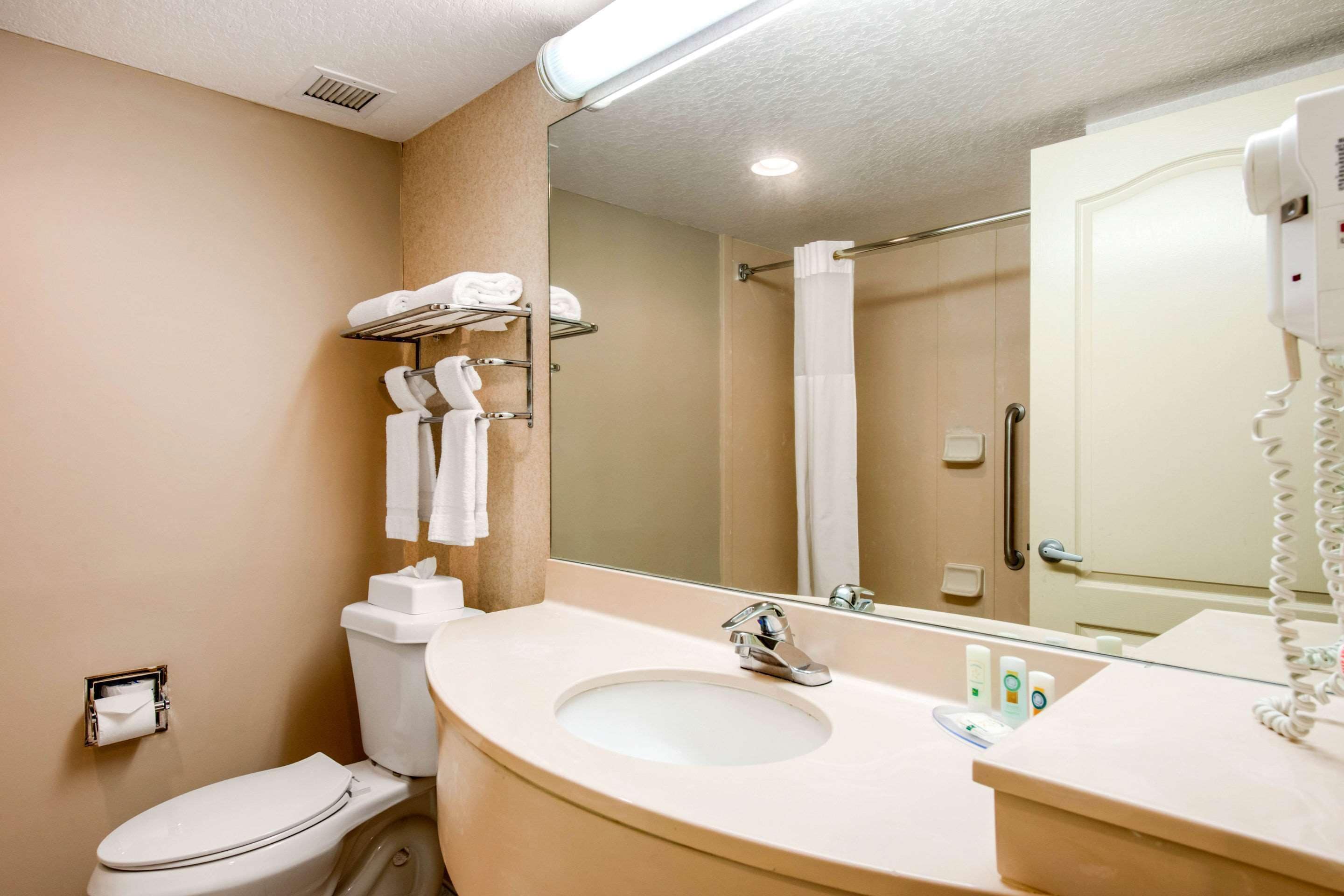 Baño de hotel con inodoro, lavamanos y un espejo grande.