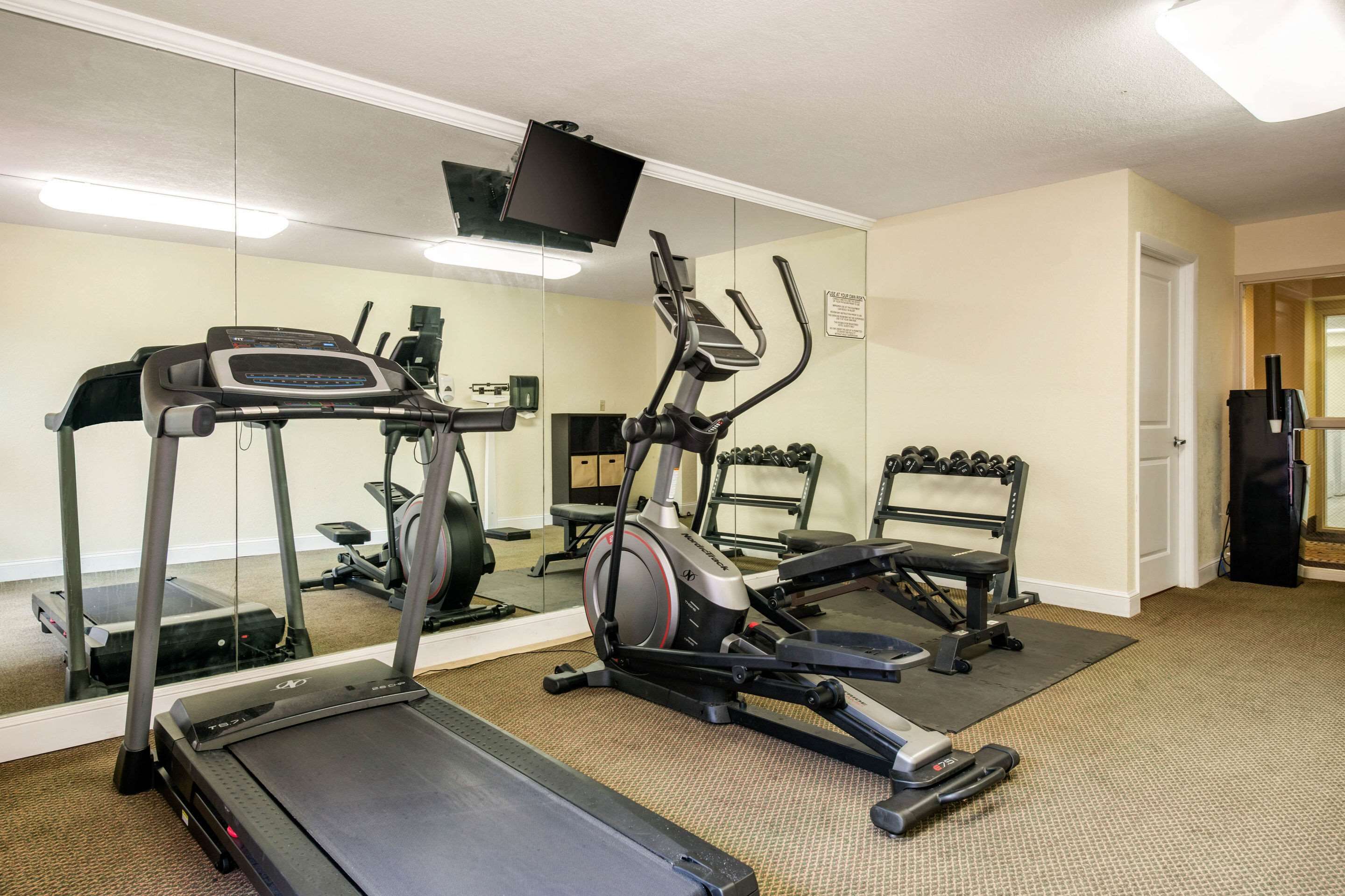 Une salle de sport équipée de tapis de course, d’un appareil elliptique et d’un banc de musculation.