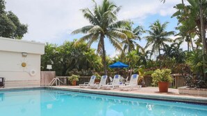 Une piscine entourée de palmiers et de plantes en pot, avec des chaises longues et des parasols à proximité.