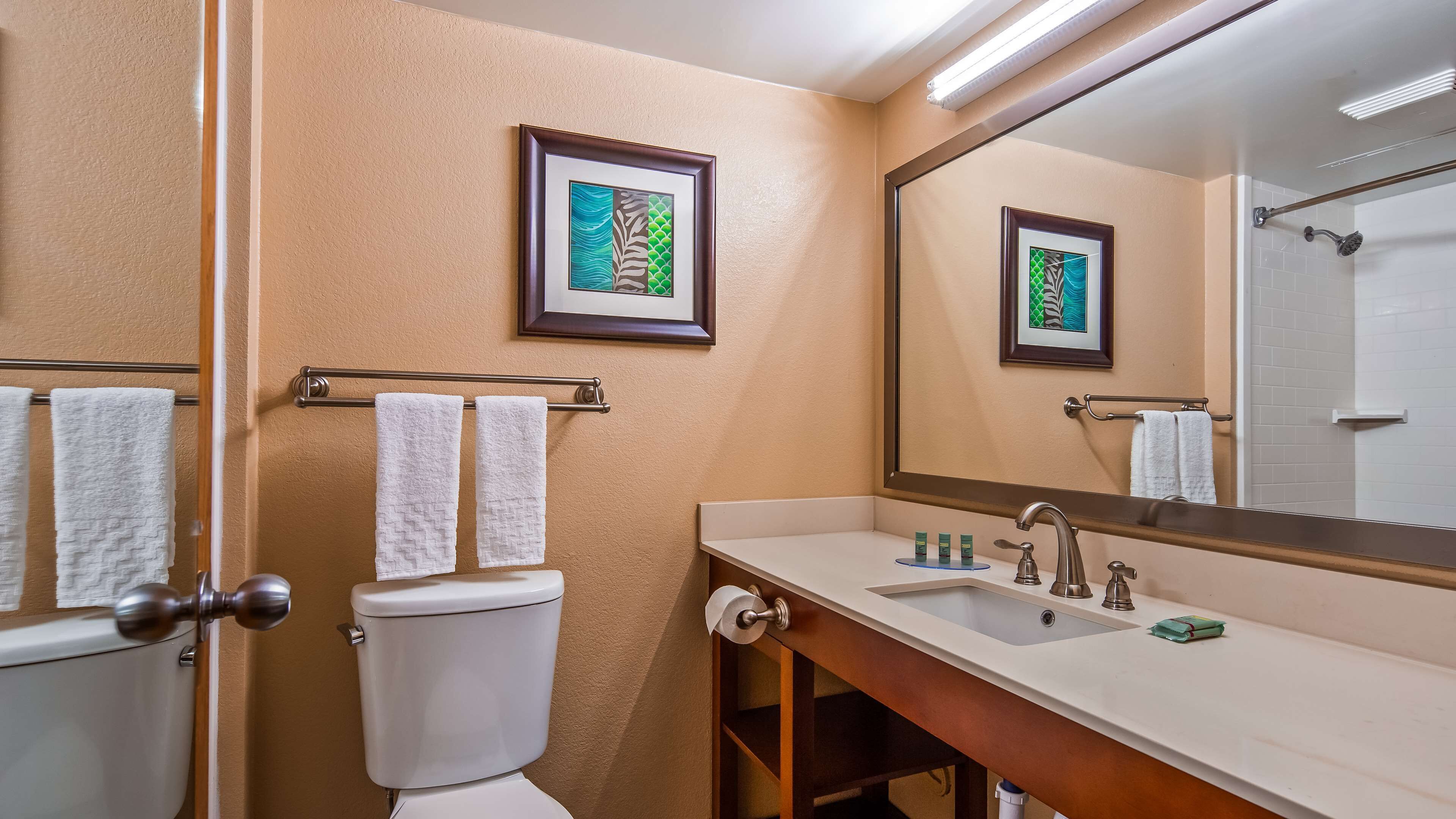 Ein Badezimmer mit Toilette, Waschbecken und Spiegel. Handtücher hängen an einem Halter, und ein gerahmtes Bild ist an der Wand angebracht.