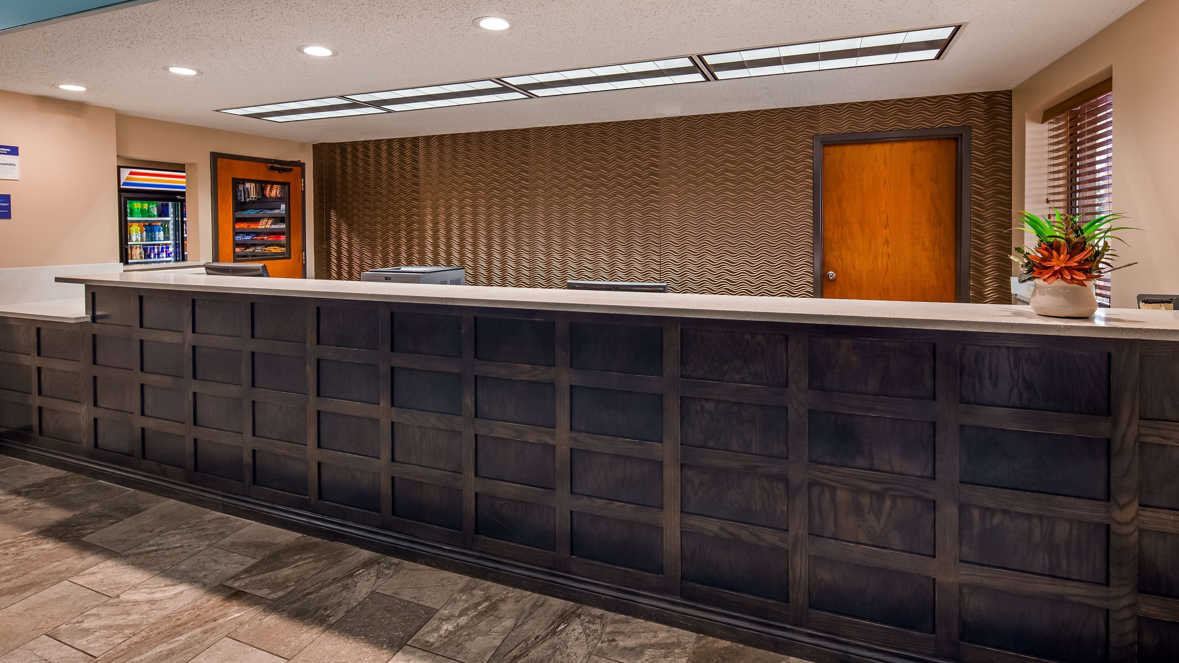 A reception desk with a patterned wall, a wooden door, and a plant on the counter.