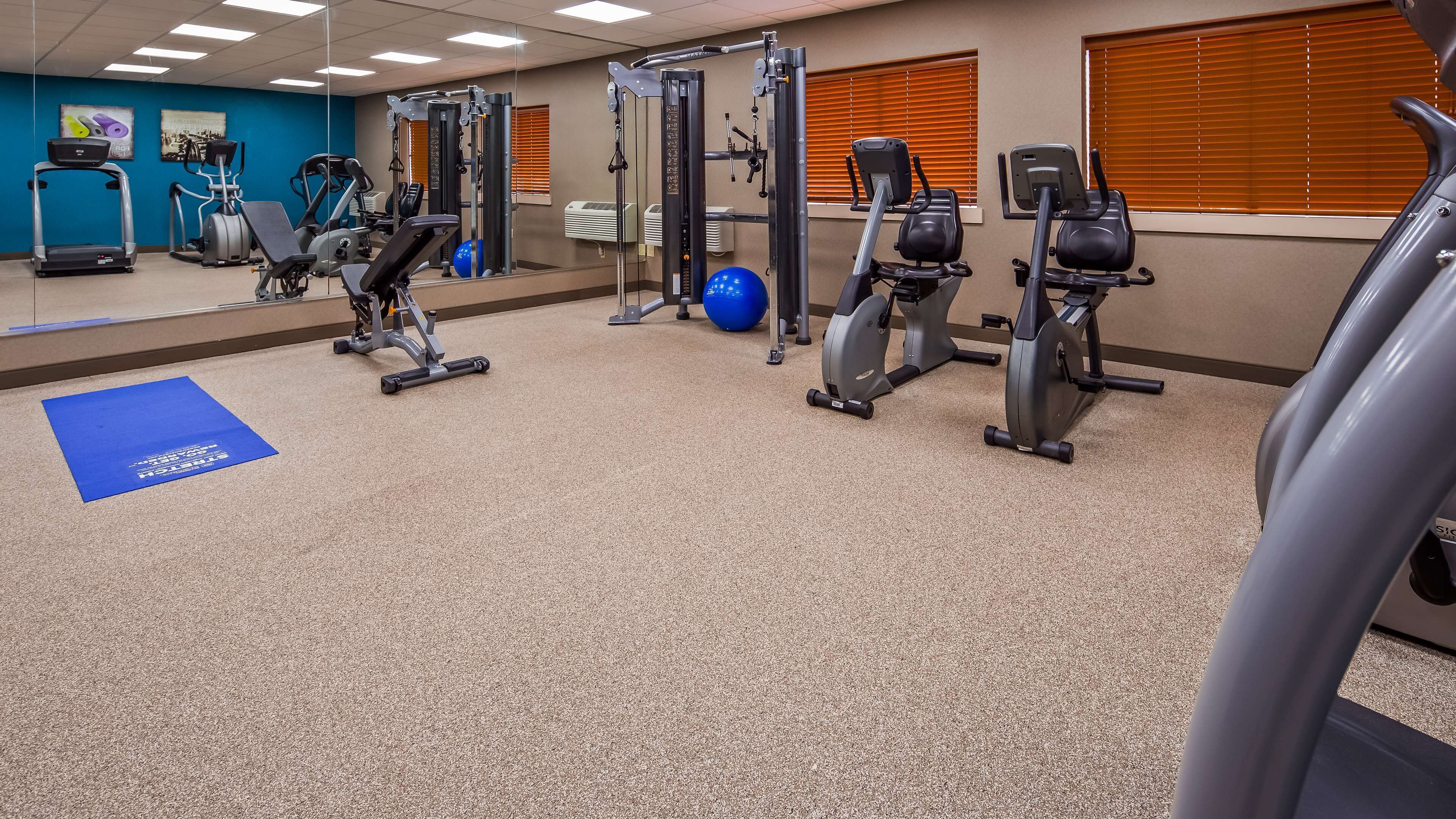 Un gimnasio con diversos equipos de ejercicio, como cintas de correr, elípticas y máquinas de pesas.