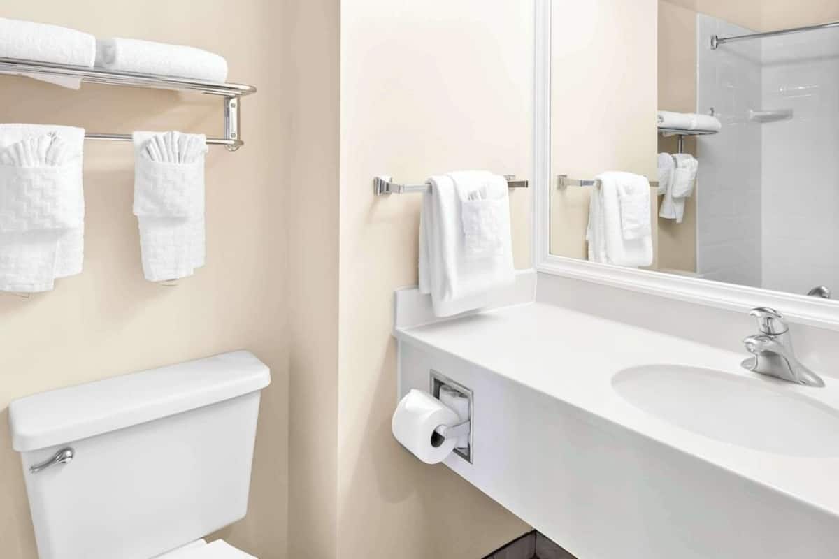 Bathroom | Combined shower/tub, free toiletries, hair dryer, towels