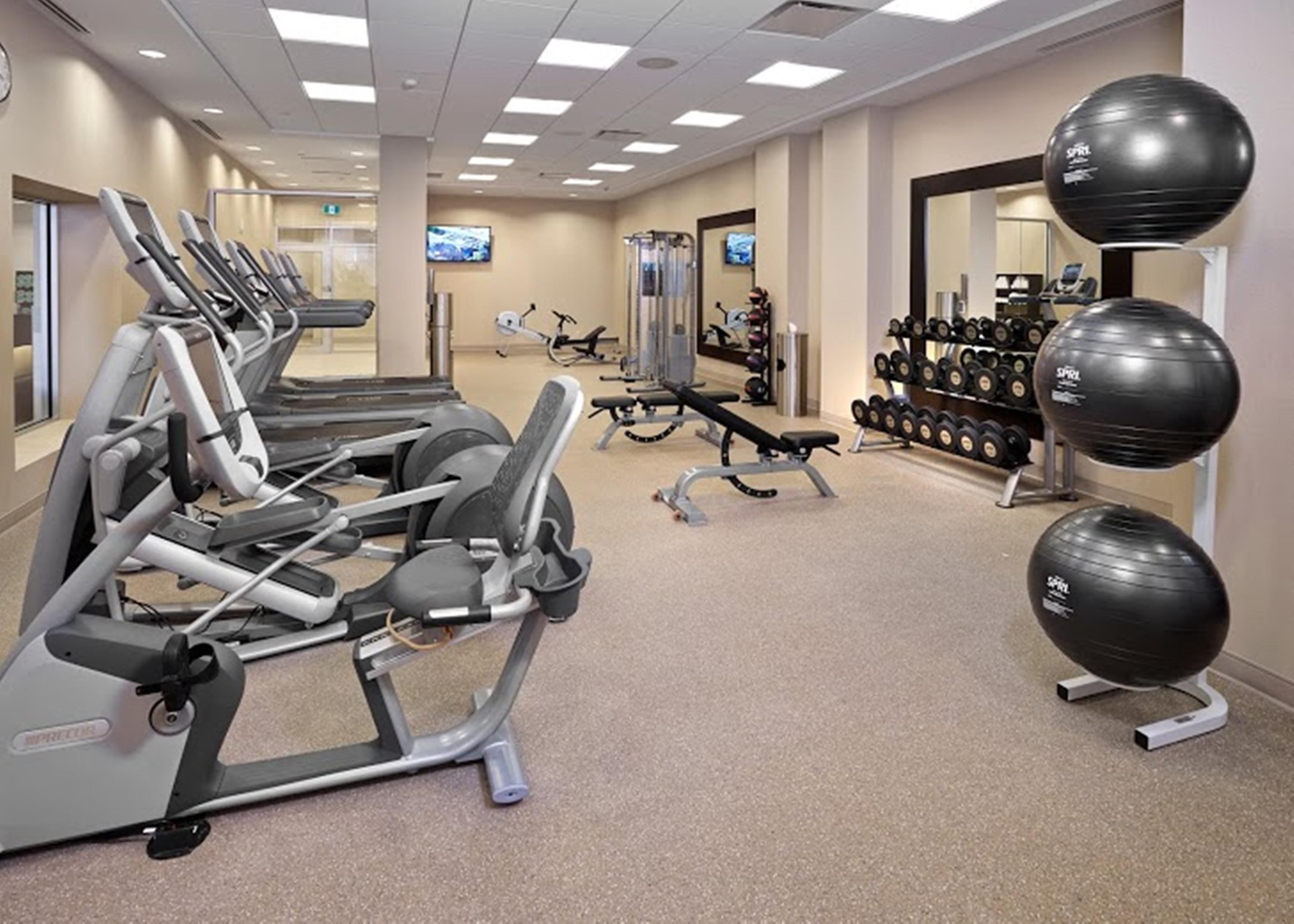 A gym with treadmills, weight machines, and free weights.