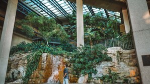 A man walking in an indoor atrium with a waterfall, stone walls, and lush greenery. - The Westin Kansas City at Crown Center (Kansas City)