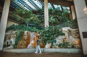 Servicio de la propiedad