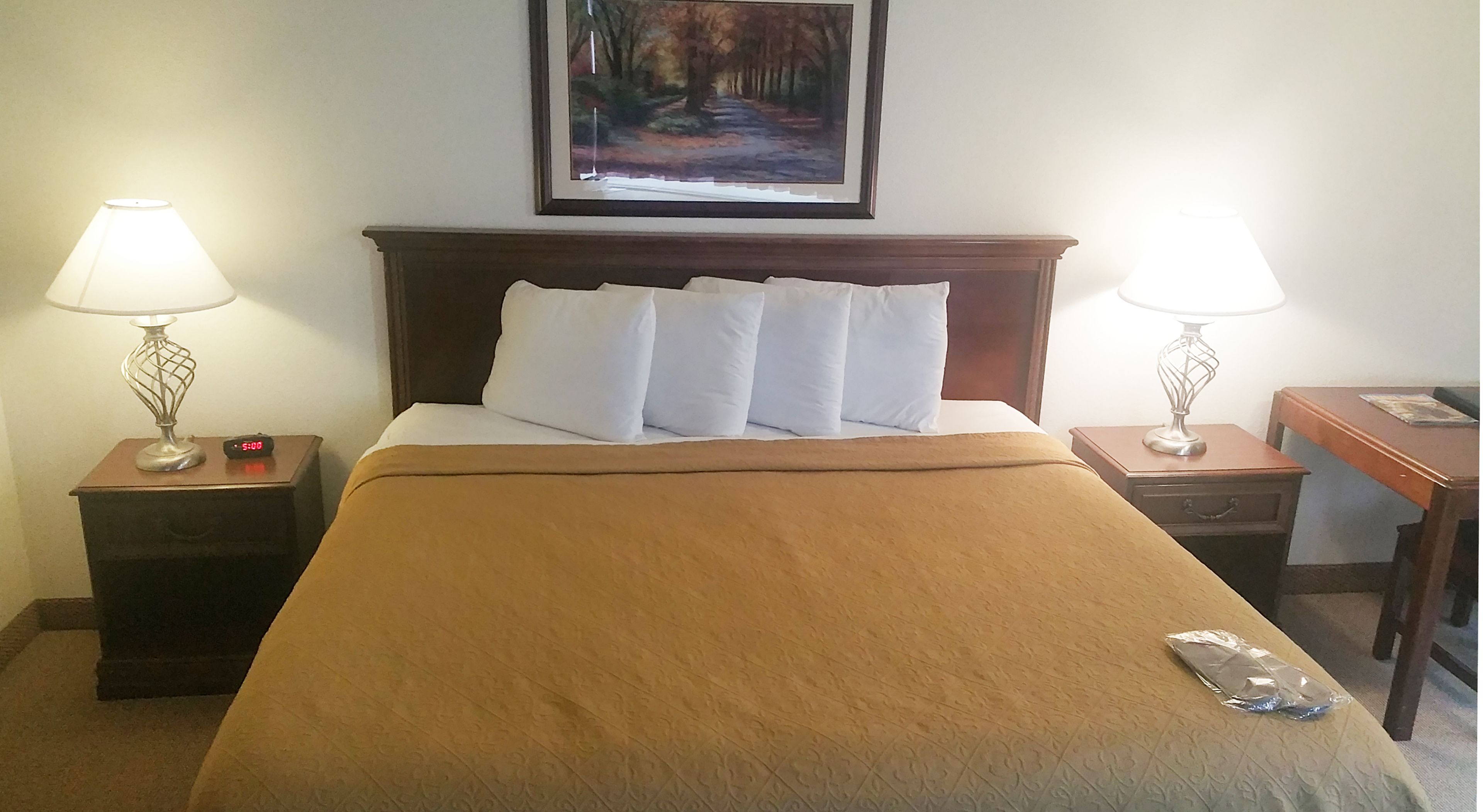 junior suite, 1 king bed, refrigerator & microwave, corner | pillow-top beds, in-room safe, desk, blackout curtains