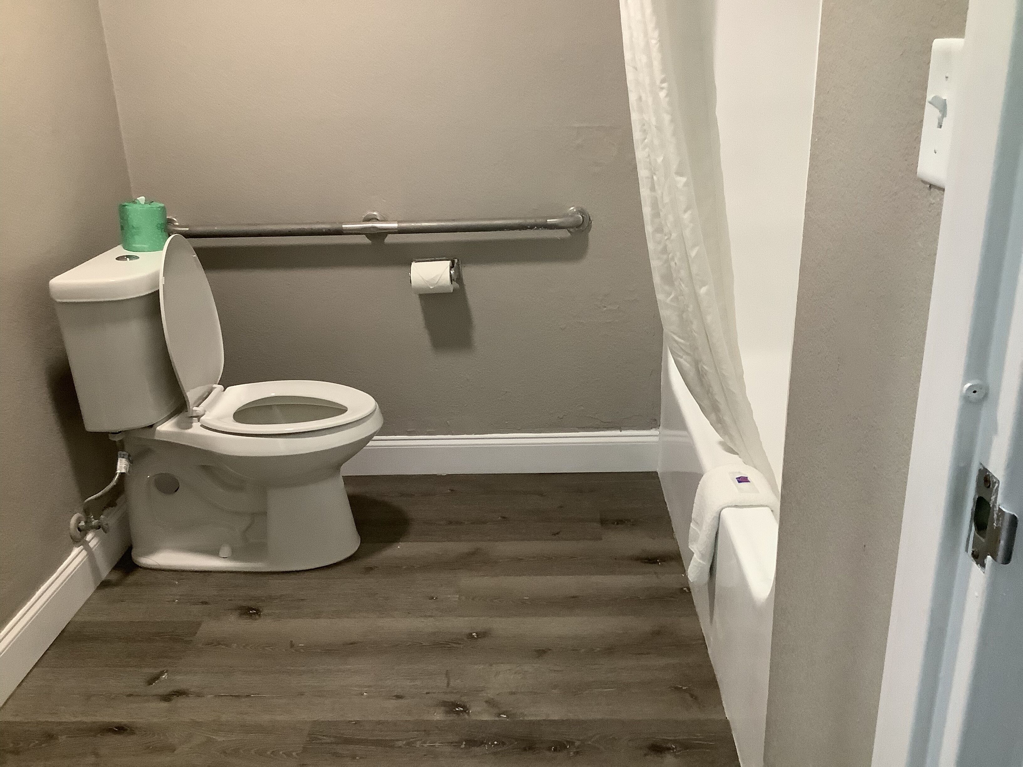 A small bathroom with a toilet, a handrail, a roll of toilet paper, and a shower curtain.