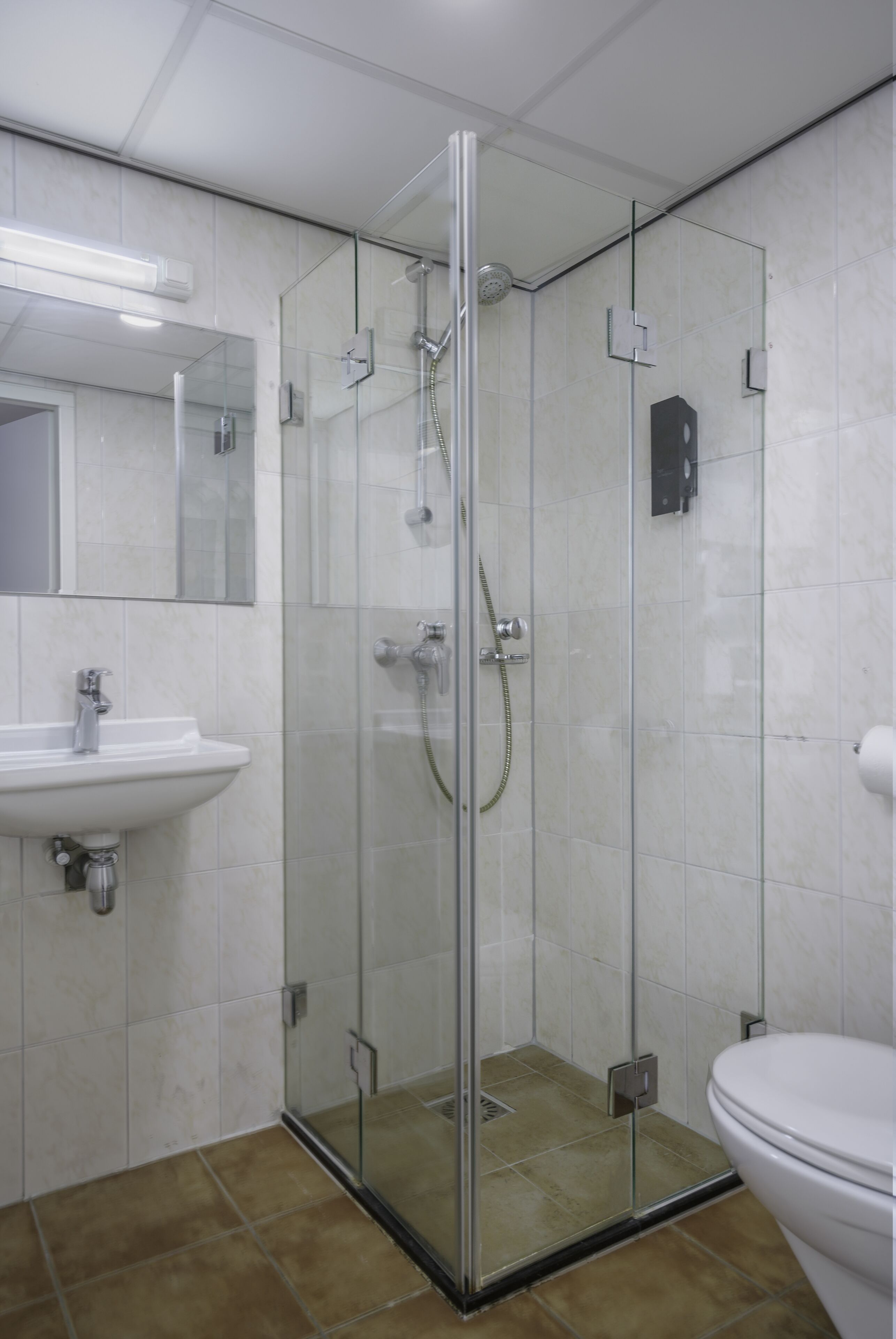 A bathroom with a glass-enclosed shower, a sink, a toilet, and a mirror.