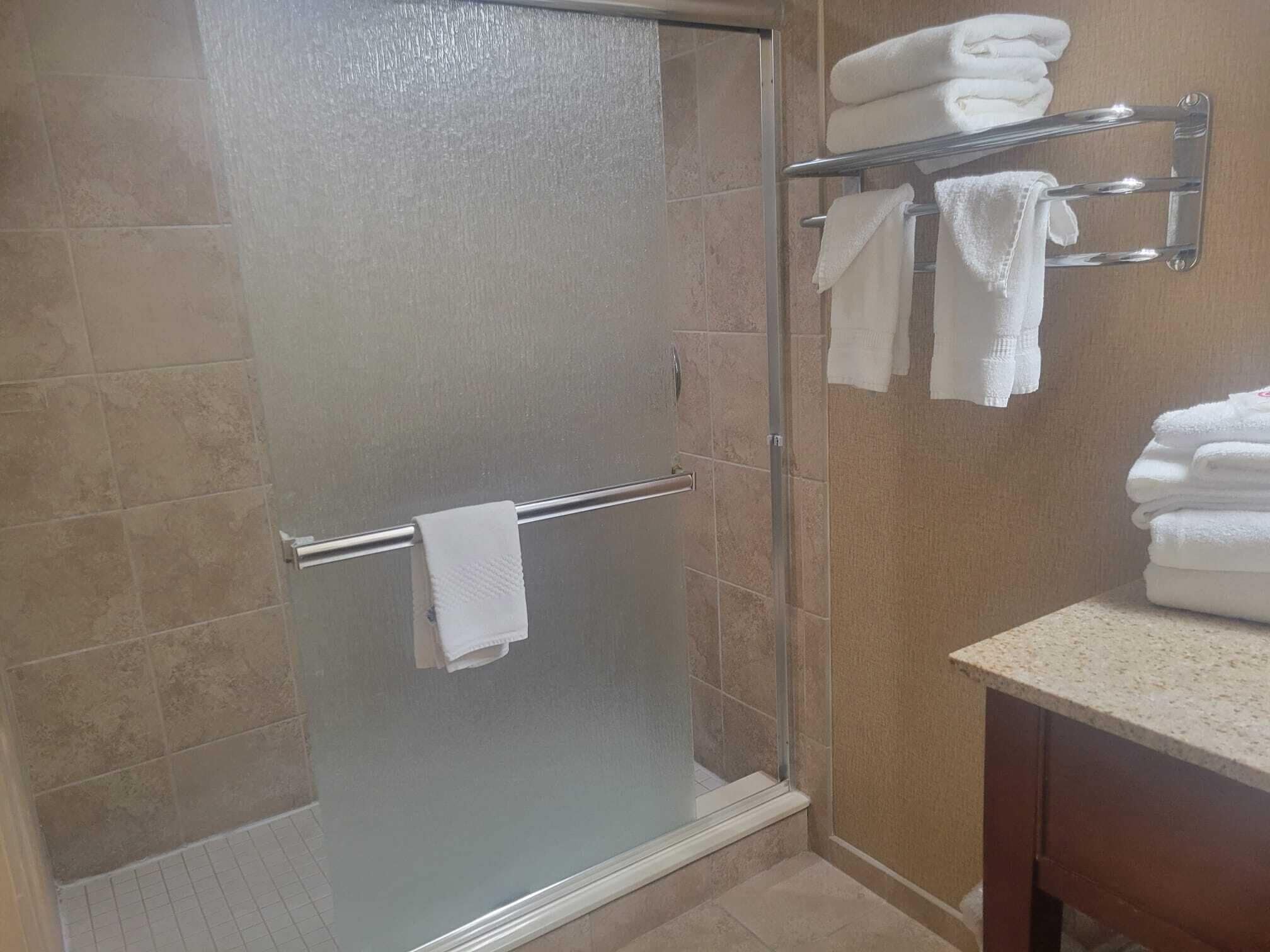 A shower area with a glass door, a towel rack with folded towels, and a countertop with a sink.