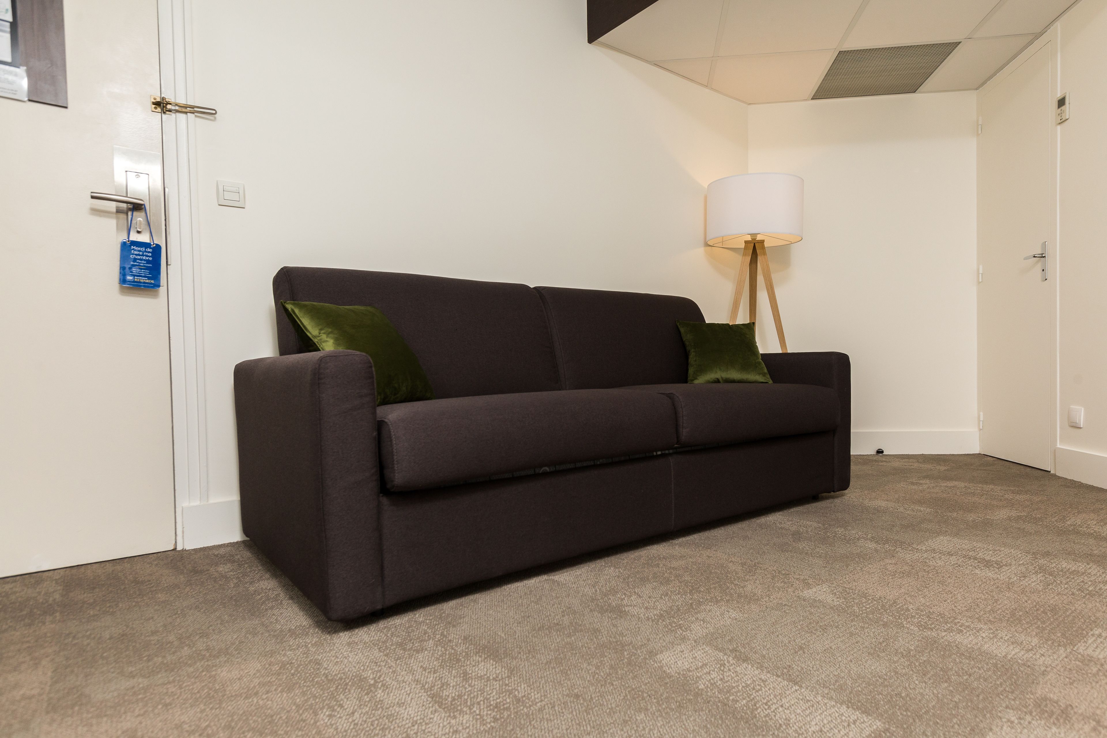 Un canapé de couleur sombre avec des coussins verts, dans une pièce où l’on aperçoit une porte blanche et un lampadaire.