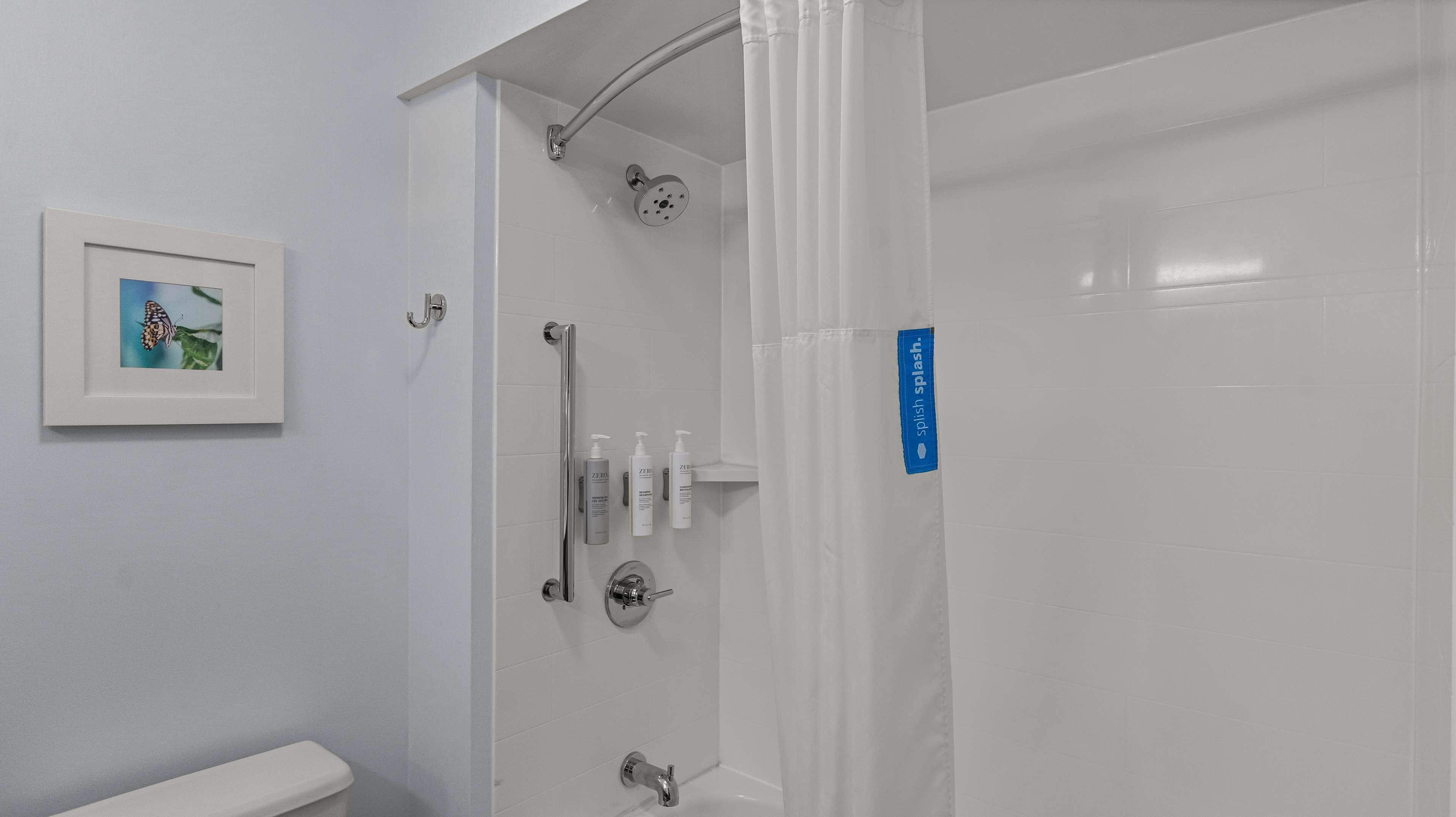 A bathroom with a shower, toilet, and a framed picture on the wall.