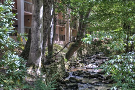 Hampton Inn Gatlinburg - Image 1