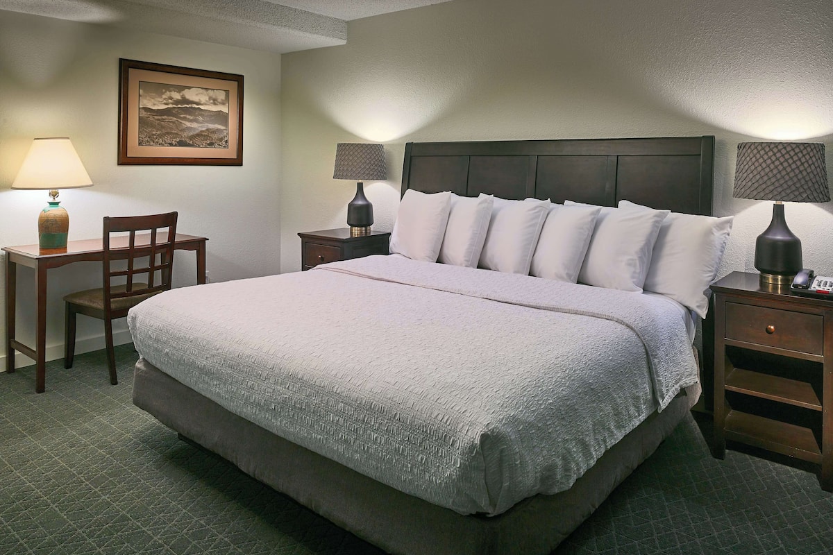 Suite, 1 kingsize bed | Een kluis op de kamer, een strijkplank/strijkijzer, gratis wifi