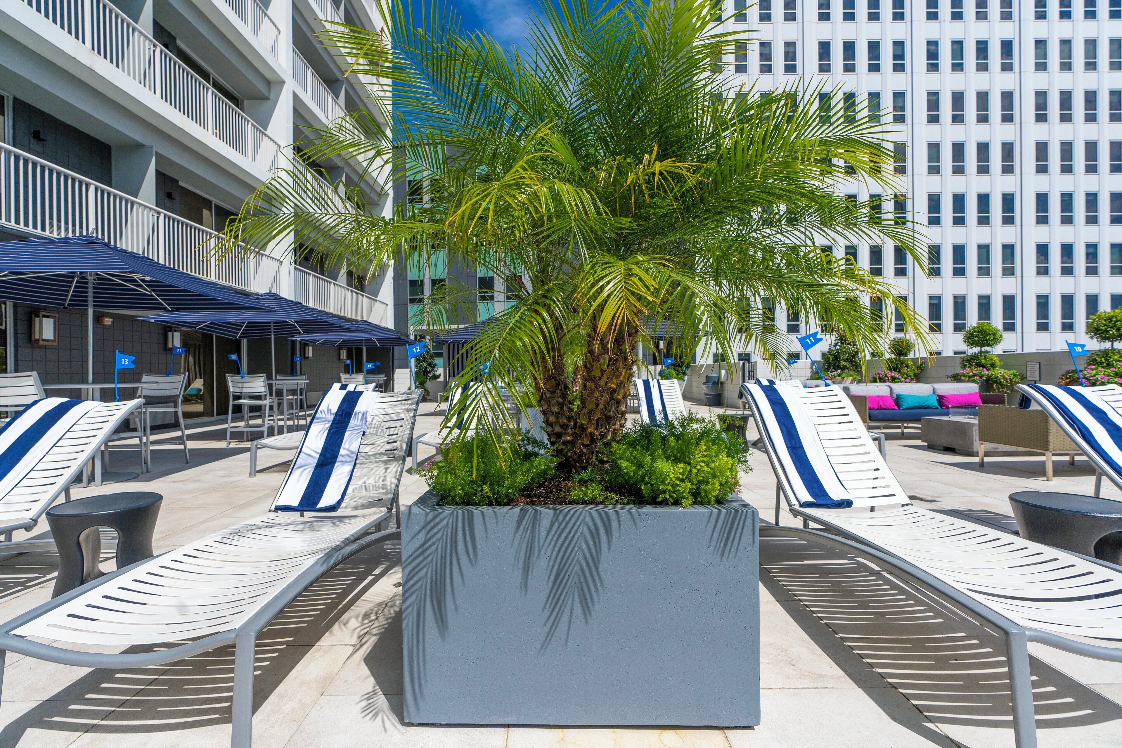 Outdoor pool, open 9:00 AM to 9:00 PM, free cabanas