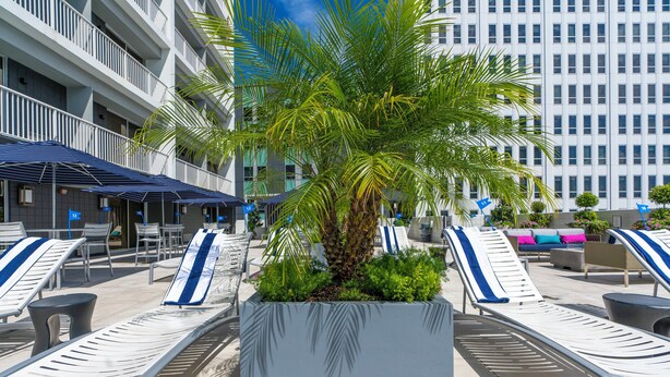 Un área de piscina en la azotea con sillones de descanso, sombrillas y un macetero con palmera.